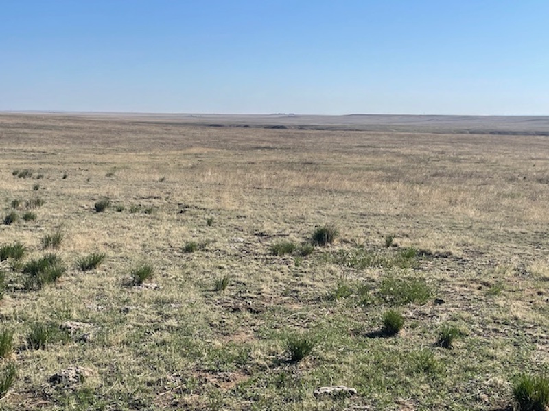 wide expanse