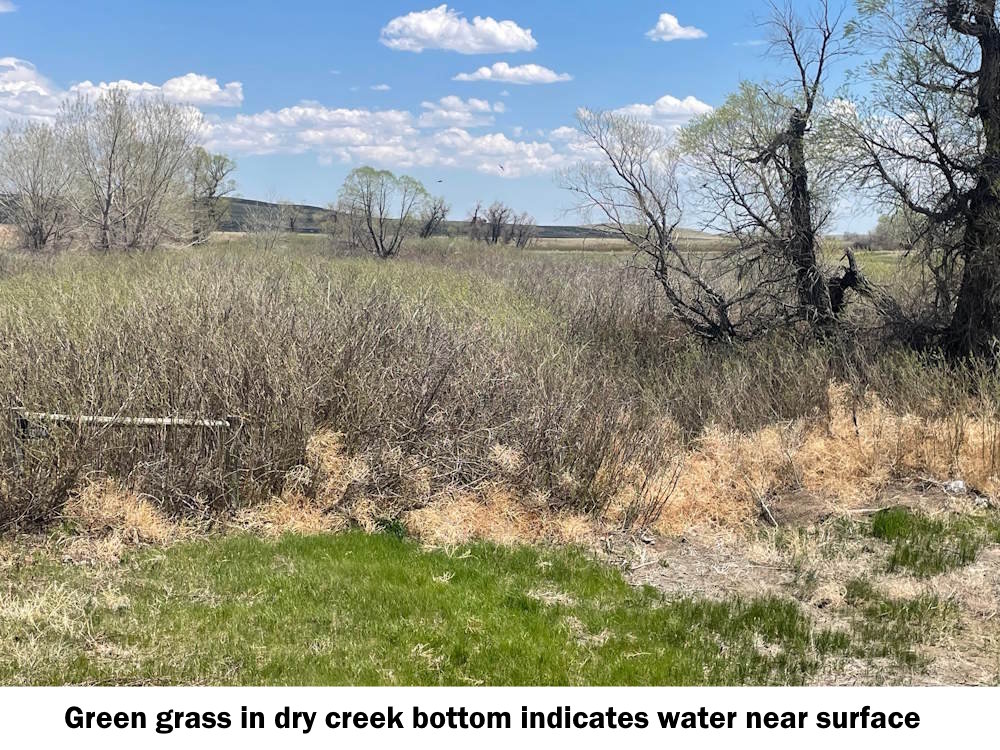 Lodgepole Creek
