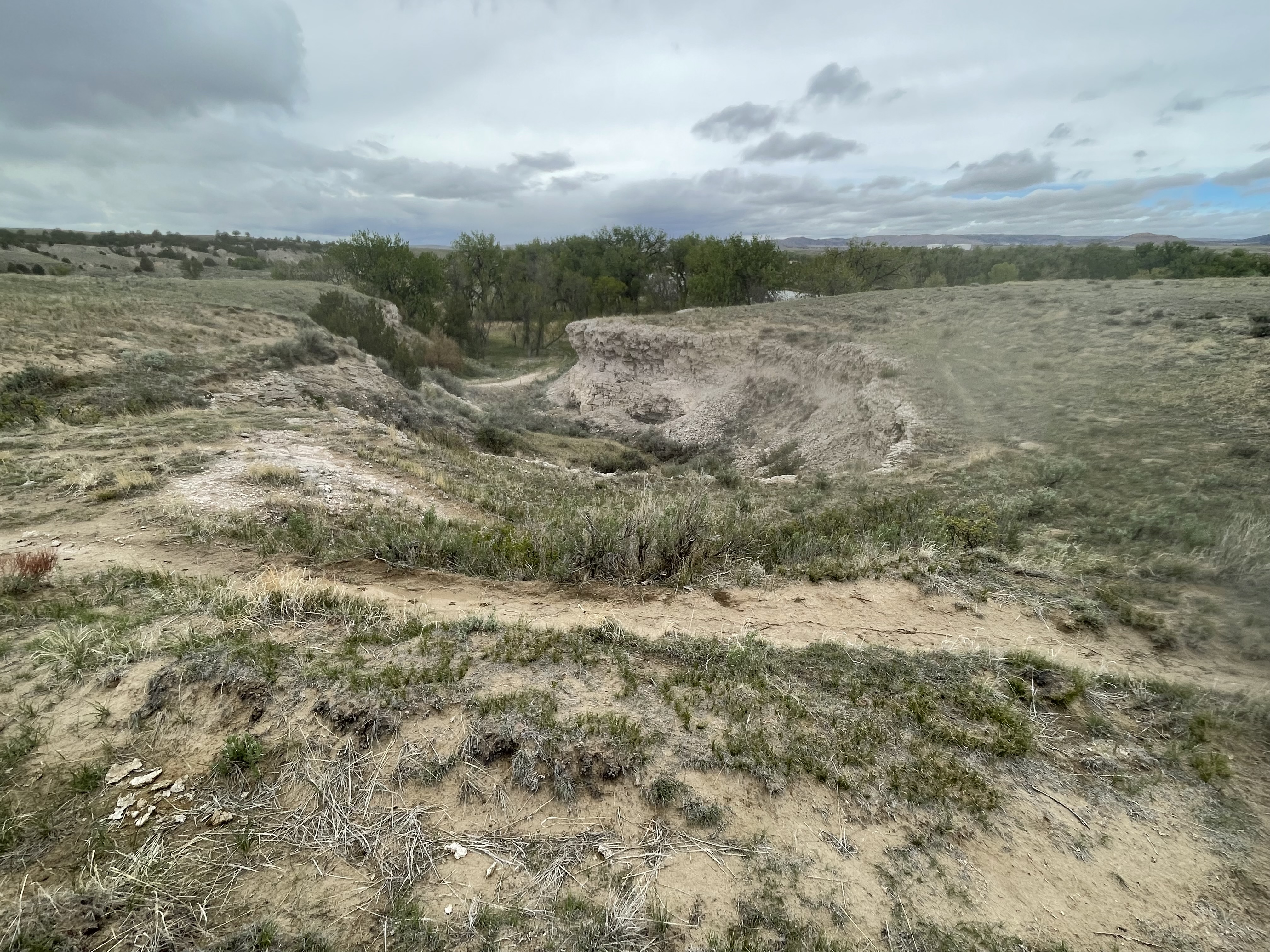 Mexican Hill Top
