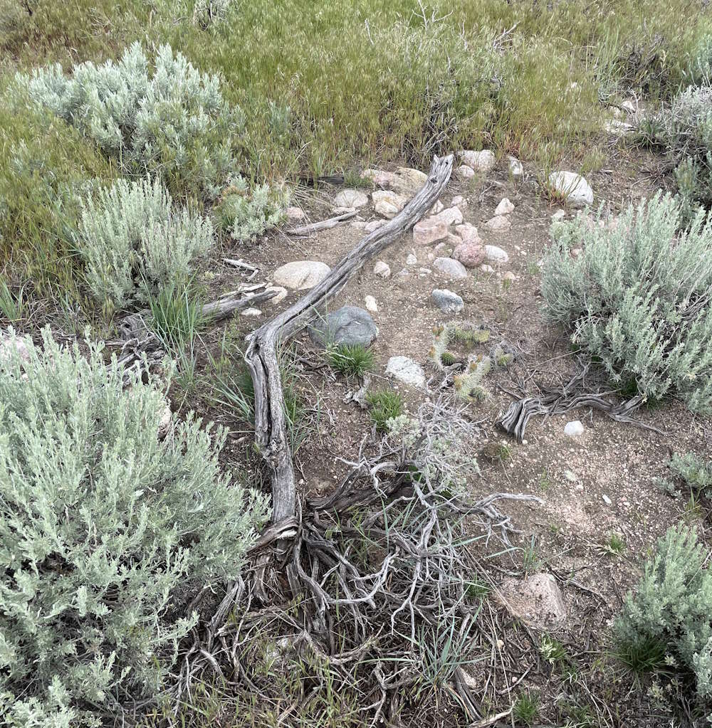 Possible Grave