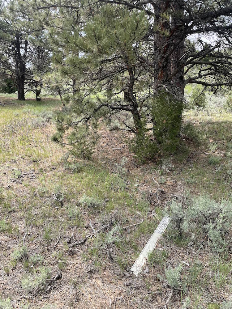 Marker in the trail