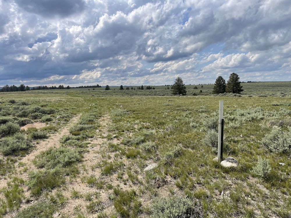 Rolling Prairie