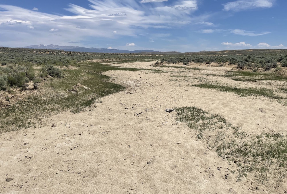 The Dry Sandy