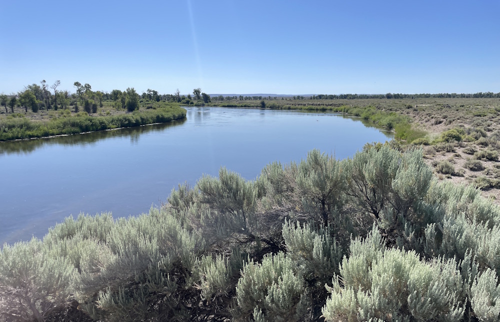 The Green River
