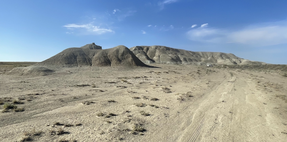 Odd Bluffs