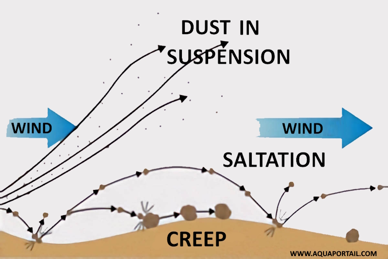 Saltation