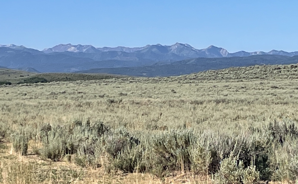 Wasatch Mountains