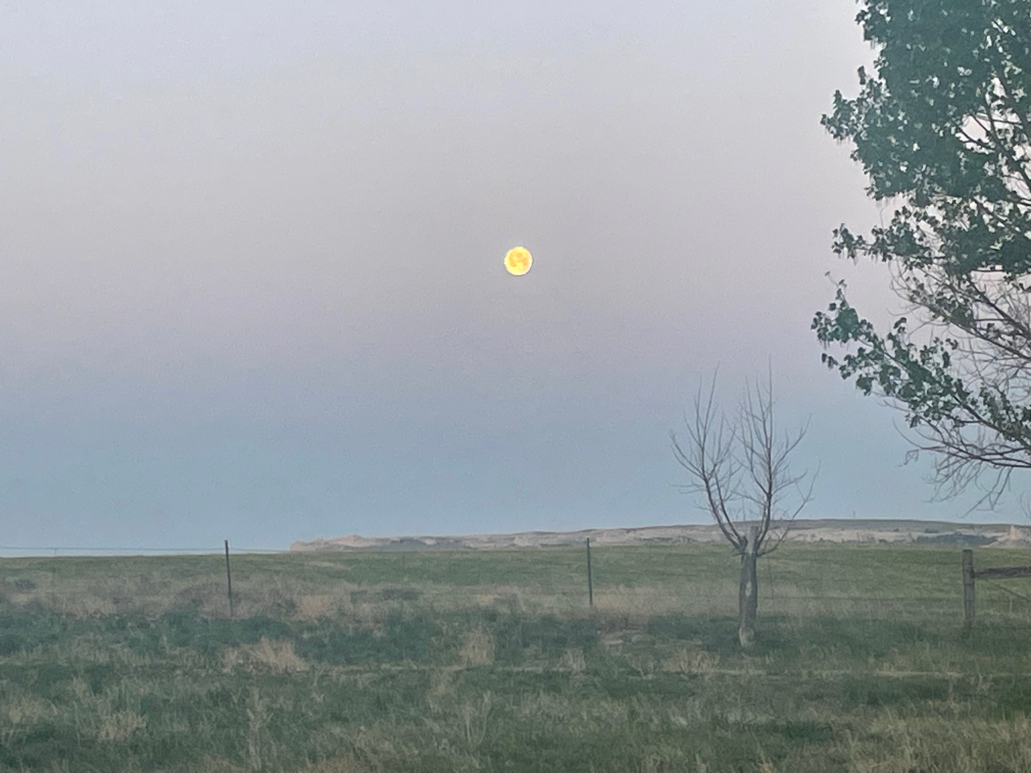 View of Prairie from opposite side of the RV