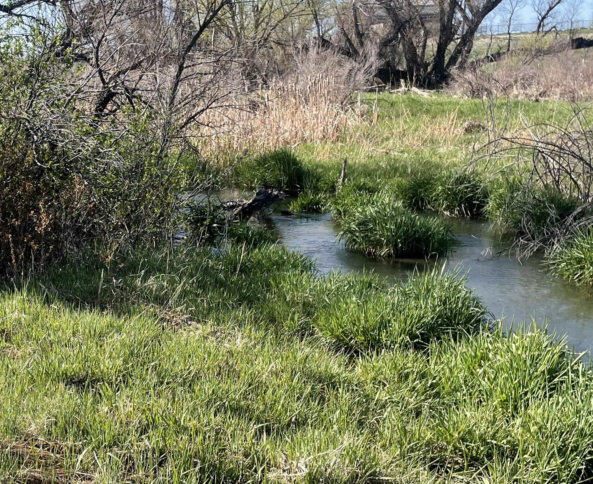 Cherry Creek