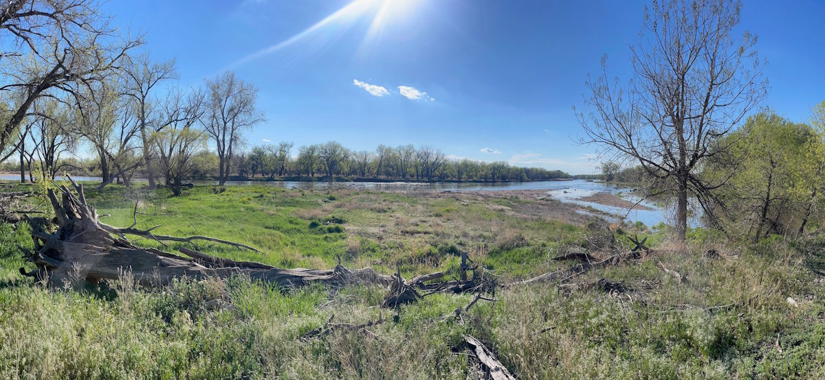 Crow Confluence