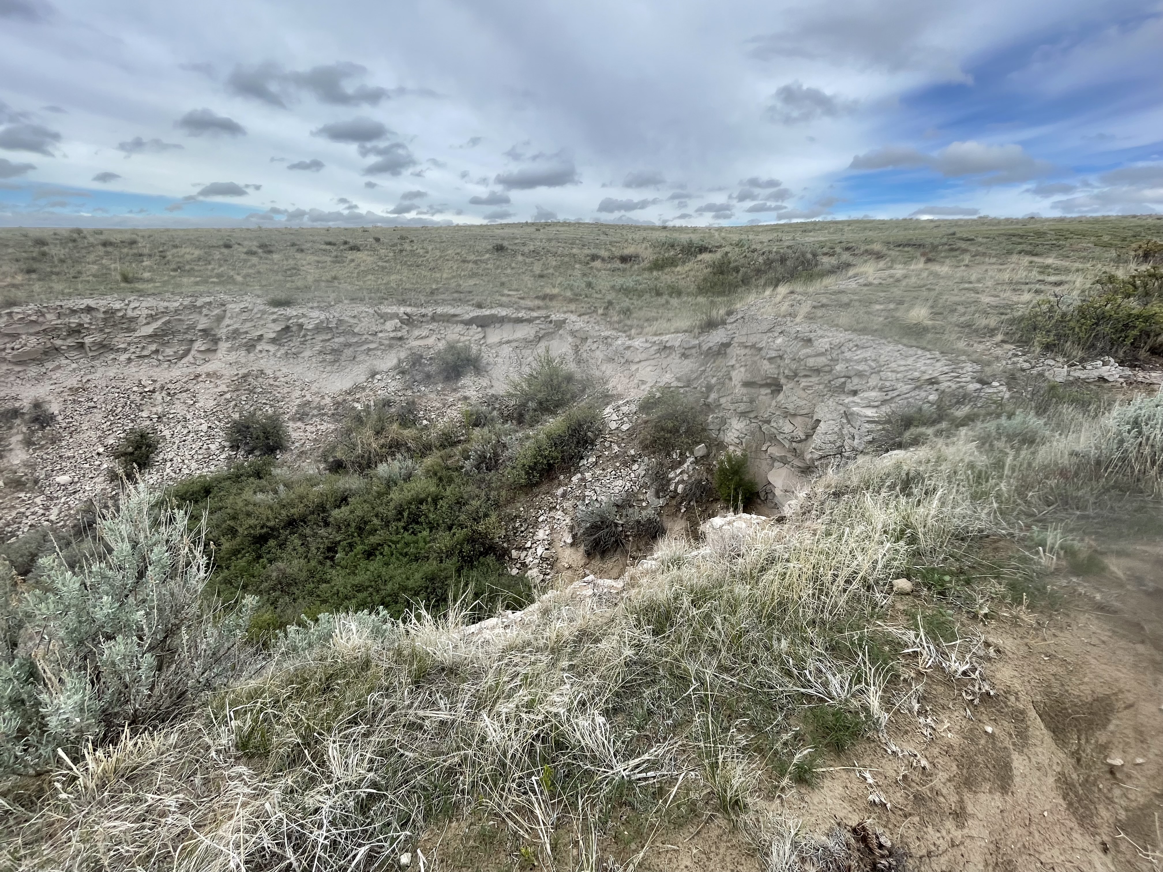 Mexican Hill