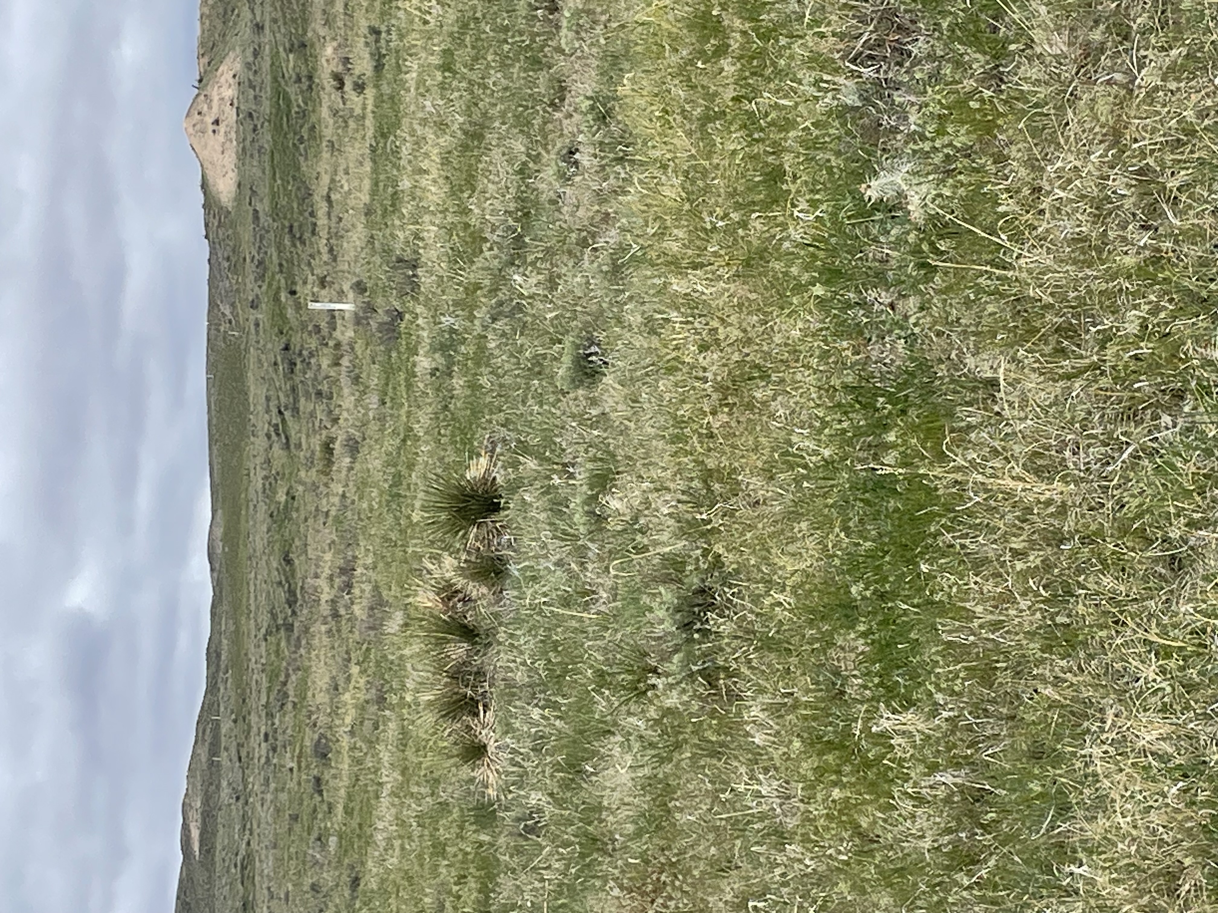 OCTA Carsonite Trail Marker