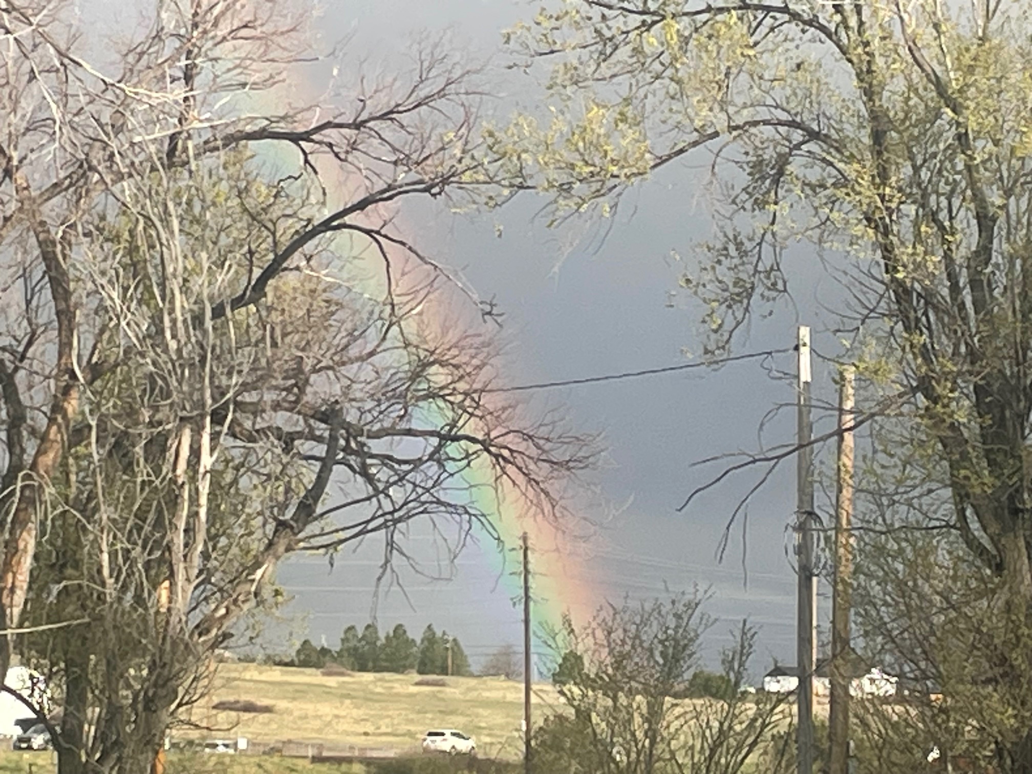 Rainbow in Franktown, CO